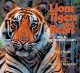 Lions, Tigers, and Bears: Why Are Big Predators So Rare? (Lion, Tigers and Bears)