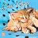 Cat Naps 2017 Wall Calendar