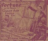 Fortune