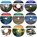 The Exhaustive 9 CD No Money Down, Millionaire Making Real Estate Mastery Set