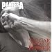 Vulgar Display of Power (2lp)