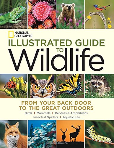 National Geographic Illustrated Guide to Wildlife: From Your Back Door to the Great Outdoors