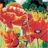 RAVENSBURGER 294527 Mohnblumen - 