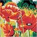 Spielwaren : Ravensburger 29452 - Malen nach Zahlen, Mohnblumen, 30x30 cm