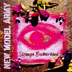 Strange Brotherhood