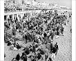 Photographic Prints of Crime - Gangs - Mods and Rockers - Brighton - 196 from PA Photos