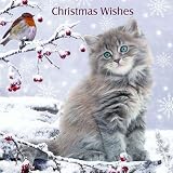 Weihnachtskarte mit Umschlag - Christmas Wishes - Kätzchen