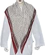 Square Silk Scarf Womens Accessory 44 x 44 inches (sqsrf129)
