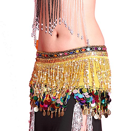 PanDaDa Chiffon Belly Dance Hip Scarf Coin Sequin Belt Skirt Tassel Hip Wrap