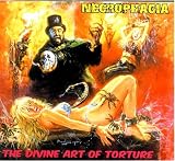 Necrophagia -  Divine Art of Torture