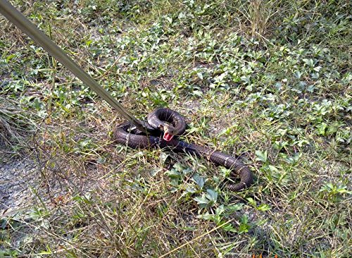 Ac.y.cÂ® 47" Professional Collapsible Snake Catcher Stick Snake Tongs Grabber Pick-up Handling Tool- Stainless Steel Matial