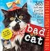 Bad Cat 2014 Page-A-Day Calendar