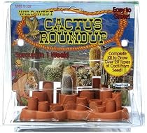 Wild West Cactus Round-up