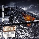 Chain Link Fence