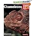 Chameleons (Complete Pet Owner's Manual)