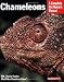 Chameleons (Complete Pet Owner's Manual)