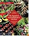 My Egyptian Grandmother's Mother Kitchen: Traditional Dishes Sweet and Savory