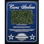 Nfl Dallas Cowboys Texas Stadium Authentic Turf Plaque