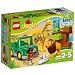 Lego Savanna, Multi Color RS.1290.00