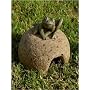Toad House