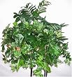 Mixed Palm, English Ivy and Philodendron Shelf Plant