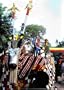 Playing with Time: Art and Performance in Central Mali (Traditional Arts of Africa)