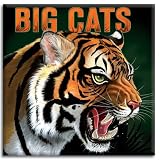 Books : Big Cats