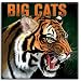 Books : Big Cats