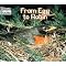 Great Early Childhood Educational books