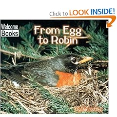 From Egg to Robin (Welcome Books)