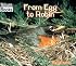 From Egg to Robin (Welcome Books)