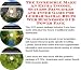 The Quick and Easy Earn More Money, Marketing and Inner Game for Lumbar Sacral Belts Internet Businesses 3 CD Power Pack