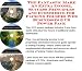 Search : The Fantastic Make An Extra Income, Success Principles and eCommerce for Packing Folders Web Businesses 3 CD Power Pack