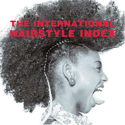 The International Hairstyle Index (Pepin Press Design Books)