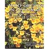 Wild Orchids in Myanmar Vol 3: Shangri-La of Wild Orchids (Wild Orchids in Myanmar: Last Paradise of Wild Orchids)