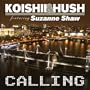 Calling (12' Version) (Calling Digital Ep)