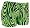 Zebra Green