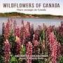 Wildflowers of Canada/Fleurs Sauvages Du Canada 2004 Calendar (French Edition)