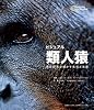 ビジュアル 類人猿