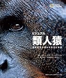 �r�W���A�� �ސl��