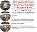 Book Massive Cash Flow Pack with Earn More Money, Sales Models and eCommerce for Flyfishing Rods On-line Businesses 3 CD Power Pack
