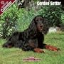 2009 Gordon Setter Wall Calendar