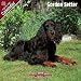 2009 Gordon Setter Wall Calendar