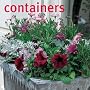 Containers: 40 inspirational ideas for transforming your outside space with container gardening, from window boxes to patio tubs and from spring flowers to a port
