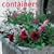 Containers: 40 inspirational ideas for transforming your outside space with container gardening, from window boxes to patio tubs and from spring flowers to a port