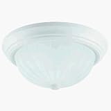 Flush Mounted Light Fixtures