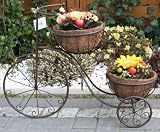 Eigenschaften   / Blumen-Fahrrad Garten-Dekoration Pflanztopf Kokos