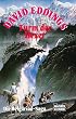 Turm der Hexer: Die Belgariad-Saga, Bd. 4