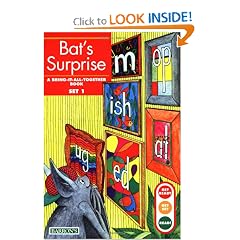 Bat's Surprise: Bring-It-All-Together Book (Get Ready...Get Set...Read!)