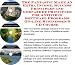 The Incredible How To Earn Extra Money, Marketing and Success Principles for Antivirus Software Programs Biz 3 CD Package